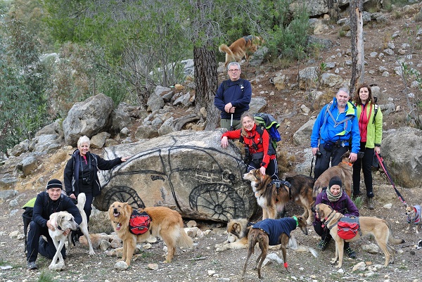 Paseos en Manada